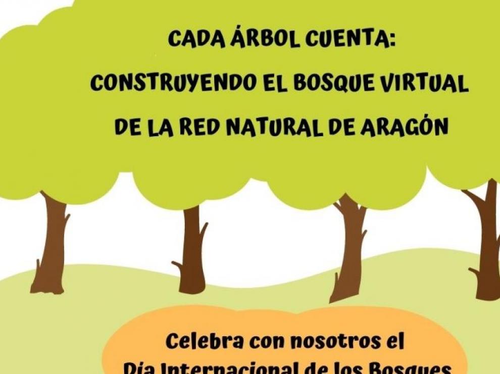 Propuesta de la DGA para el Día Internacional de los Bosques 2021