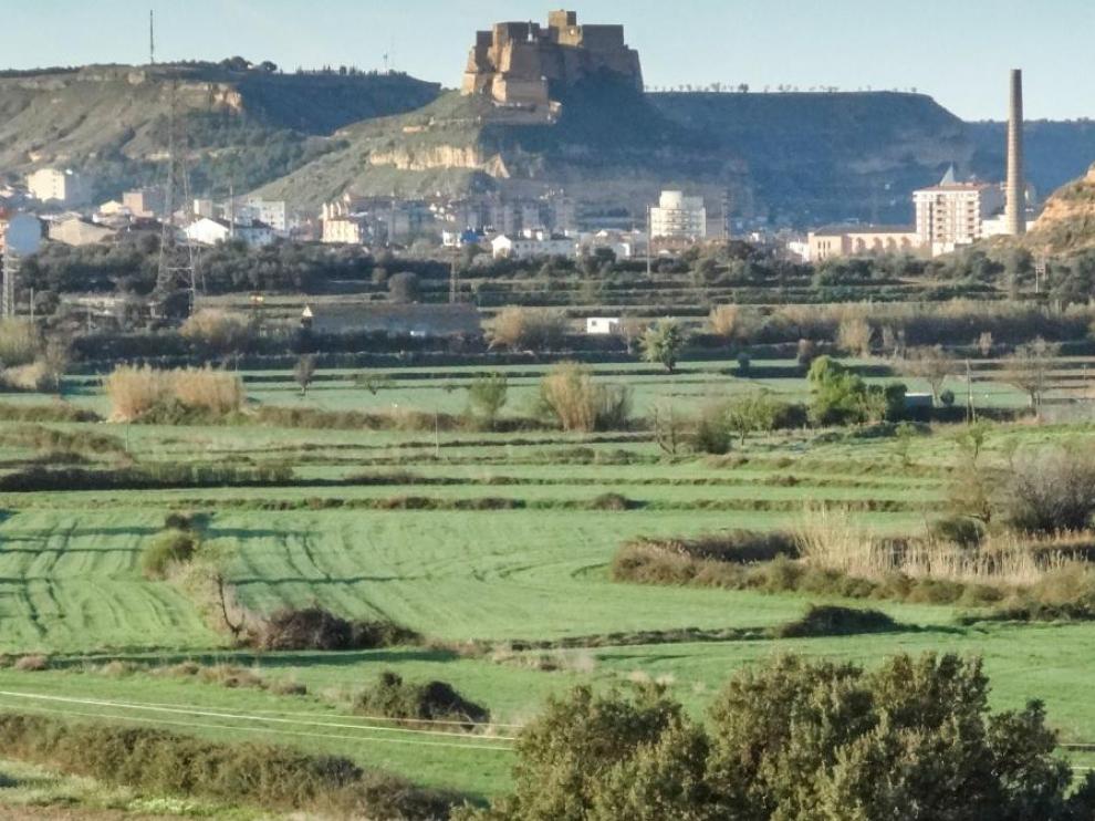 Terreno donde se prevé construir la planta de biomasa de Monzón