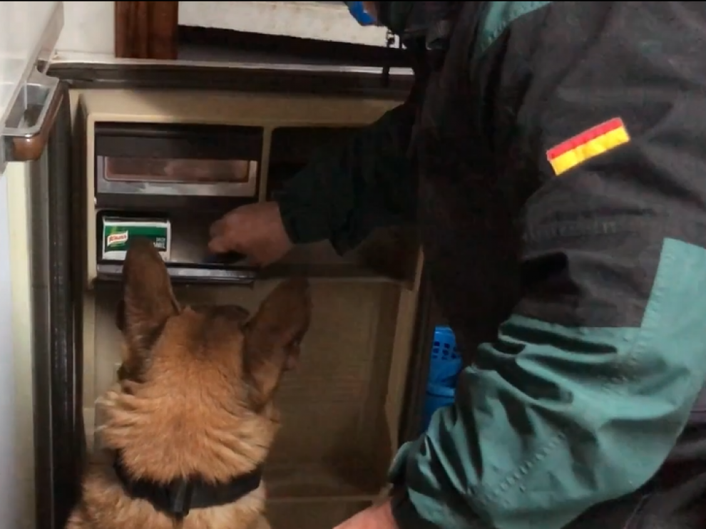 La vivienda se registró con la ayuda de un perro para localizar dónde se escondía la droga.