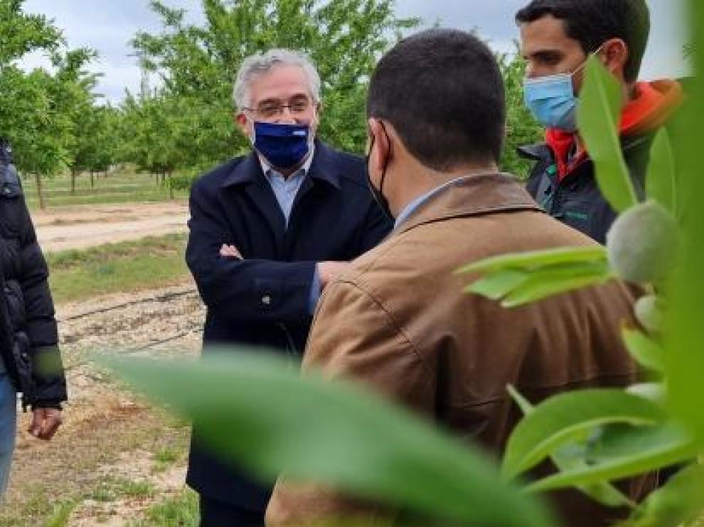 El consejero de Agricultura con jóvenes agricultores de la localidad zaragozana de Fayón.