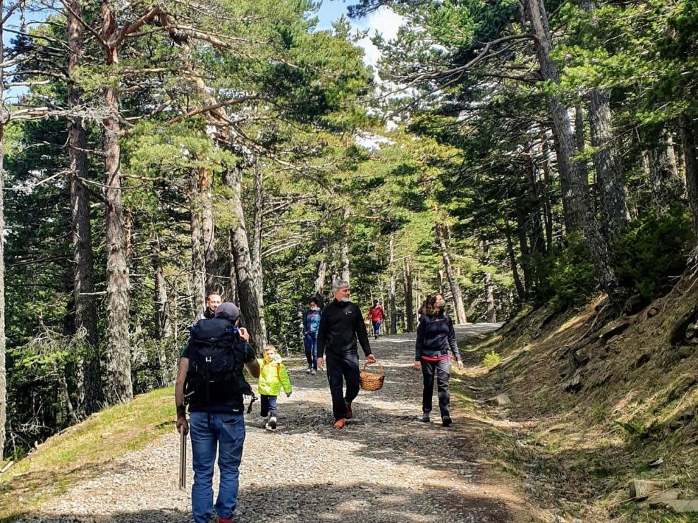 Salida organizada por Esporas del Pirineo.