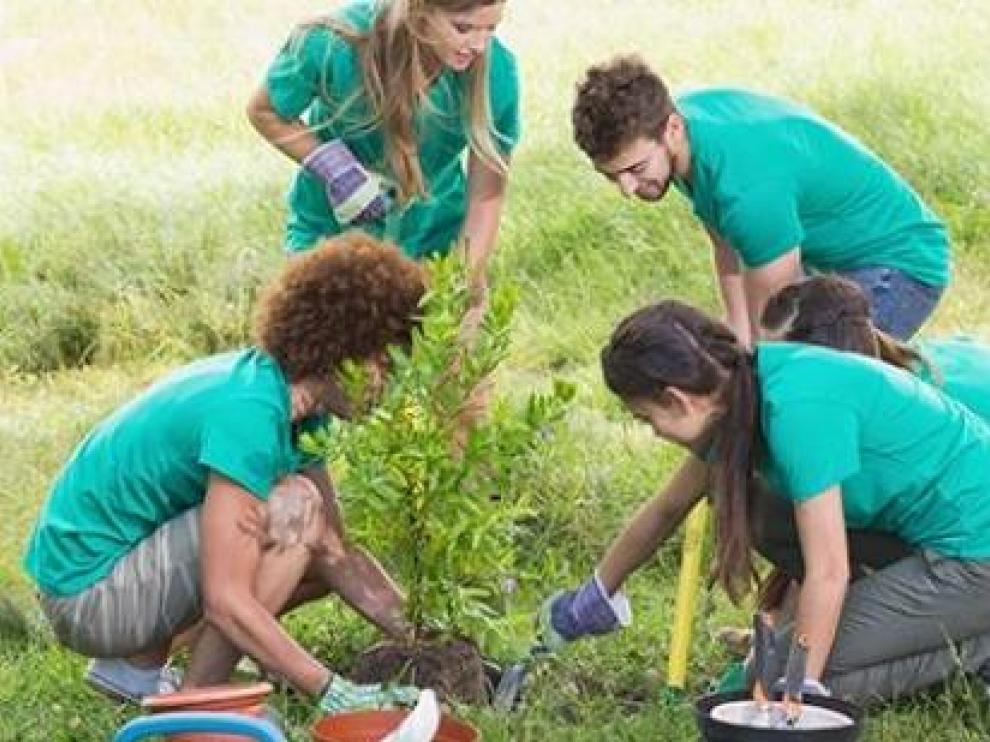 Aragón oferta 274 plazas de voluntariado juvenil, de las que 76 corresponden a los 11 campos que se desarrollan en las tres provincias.