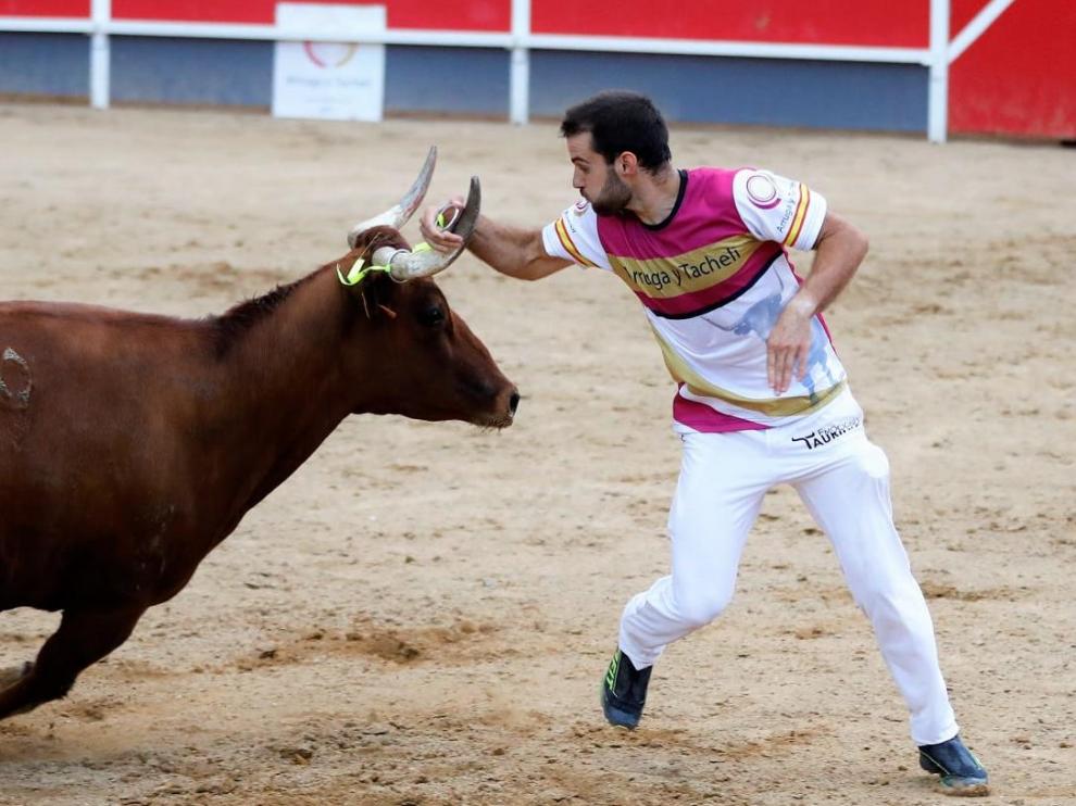 Mario González, en un concurso celebrado en Cariñena en 2020.