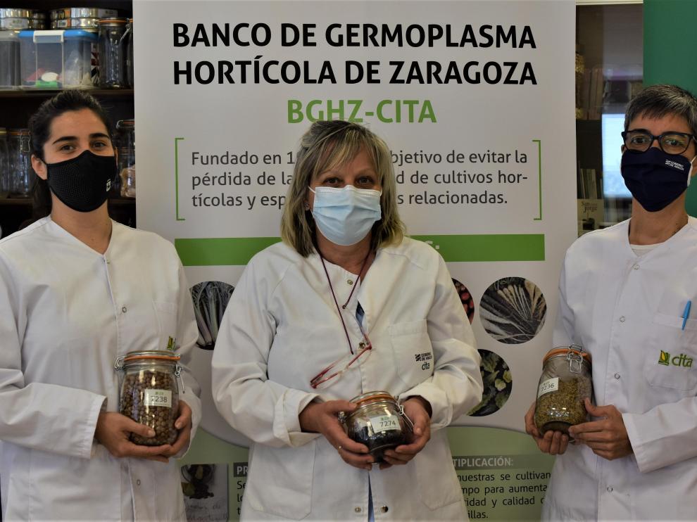 Las investigadoras del Banco de Germoplasma Estela Luna, María Ángeles Vela y Cristina Mallor.