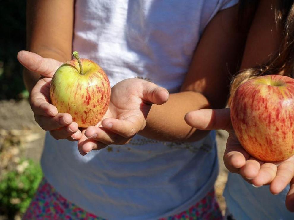 Los huertos urbanos ayudan a que los niños se acerquen a los alimentos de proximidad.