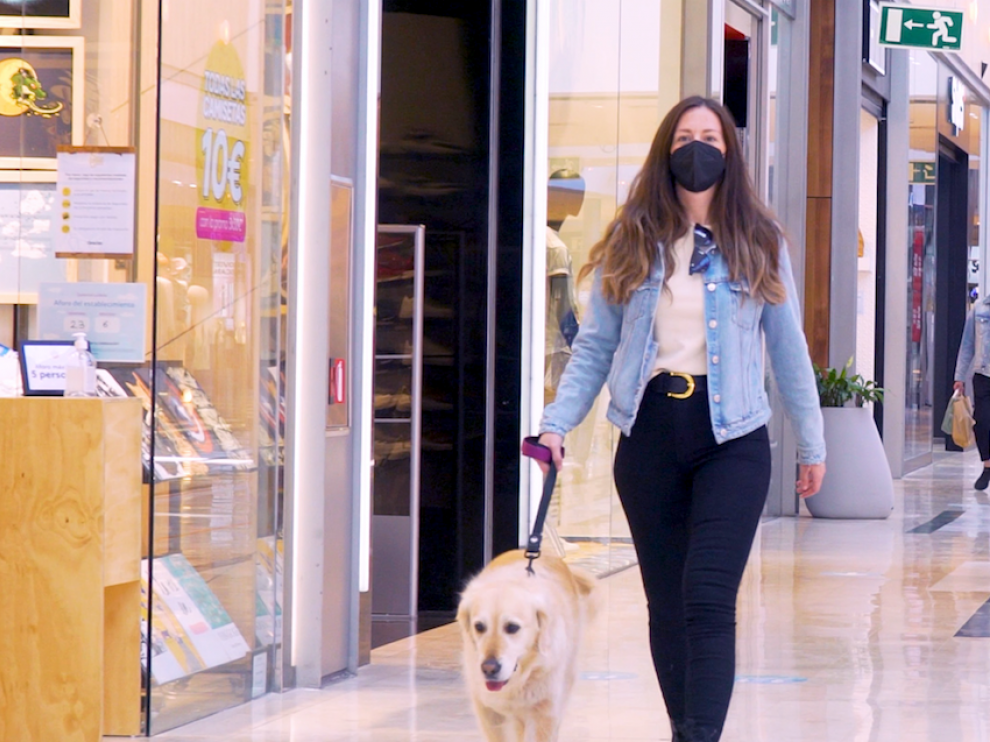 Un perro pasea por la galería comercial de Puerto Venecia.