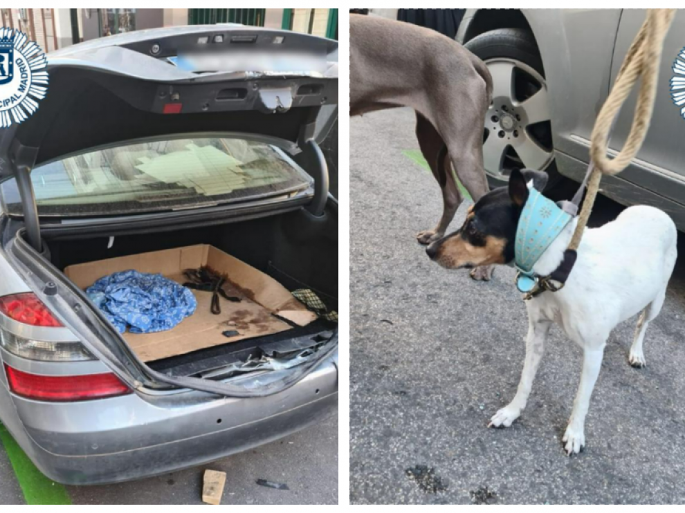 Rescate de tres canes que estuvieron durante tres horas encerrados en el maletero de un turismo.
