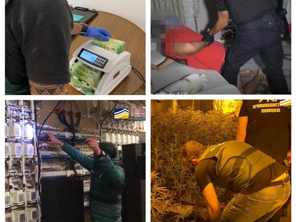De arriba a abajo, recuento del dinero incautado, las detenciones, las instalaciones eléctricas de las plantaciones y uno de los cultivos.