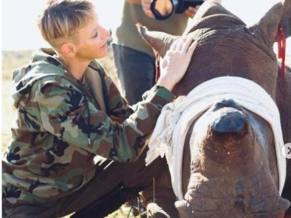 Charlene de Mónaco, en Sudáfrica, abrazando rinocerontes