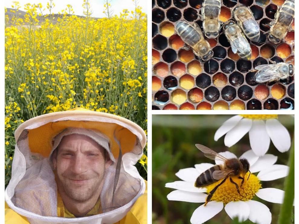 Roberto González, el joven apicultor detrás de Apicultura La Cerrada, y algunas de sus abejas.