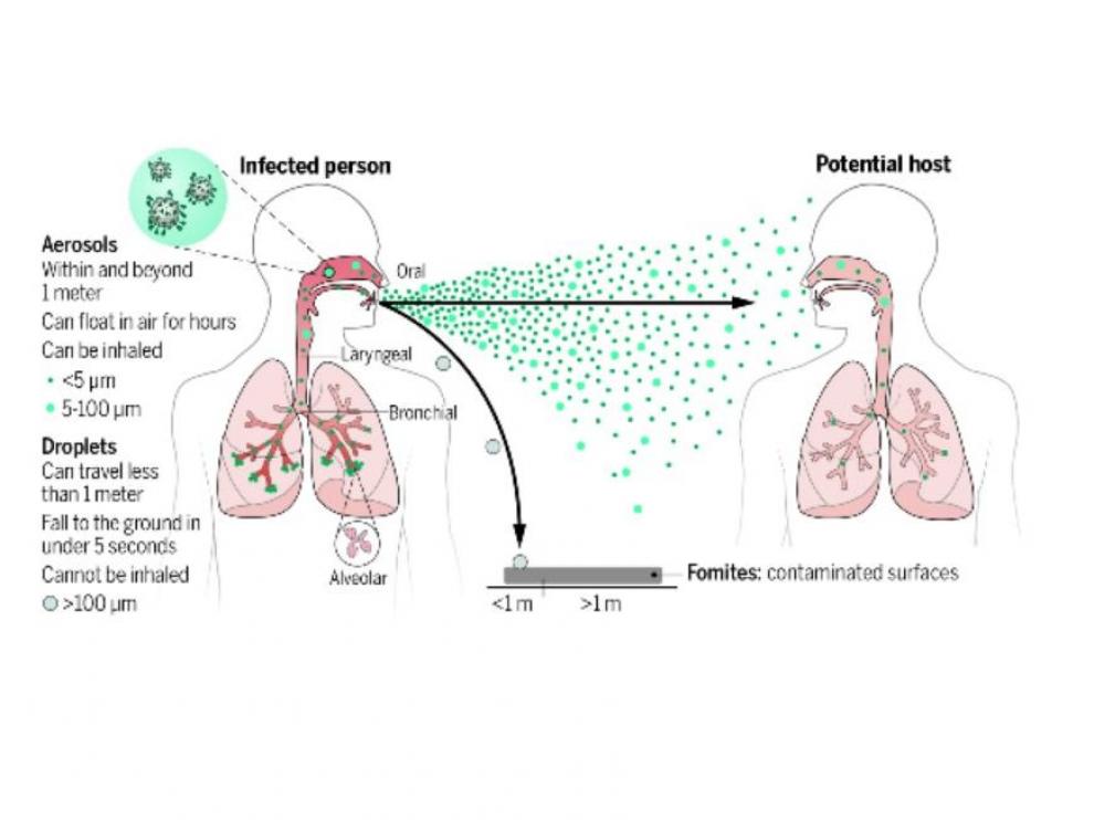 Transmisión de virus respiratorios. Los aerosoles respiratorios se emiten al respirar, hablar, cantar, gritar, toser y estornudar. Pueden permanecer suspendido en el aire, viajar más allá de un metro de la persona infectada y ser inhaladas.