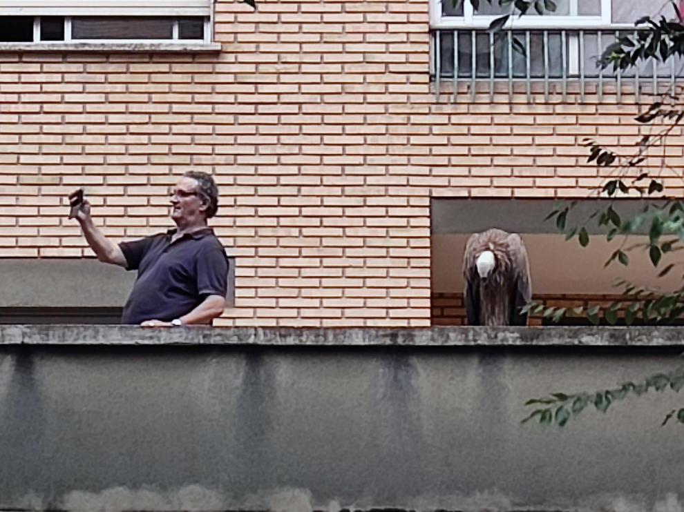 El 'selfie' del vecino con el buitre posado en el balcón.