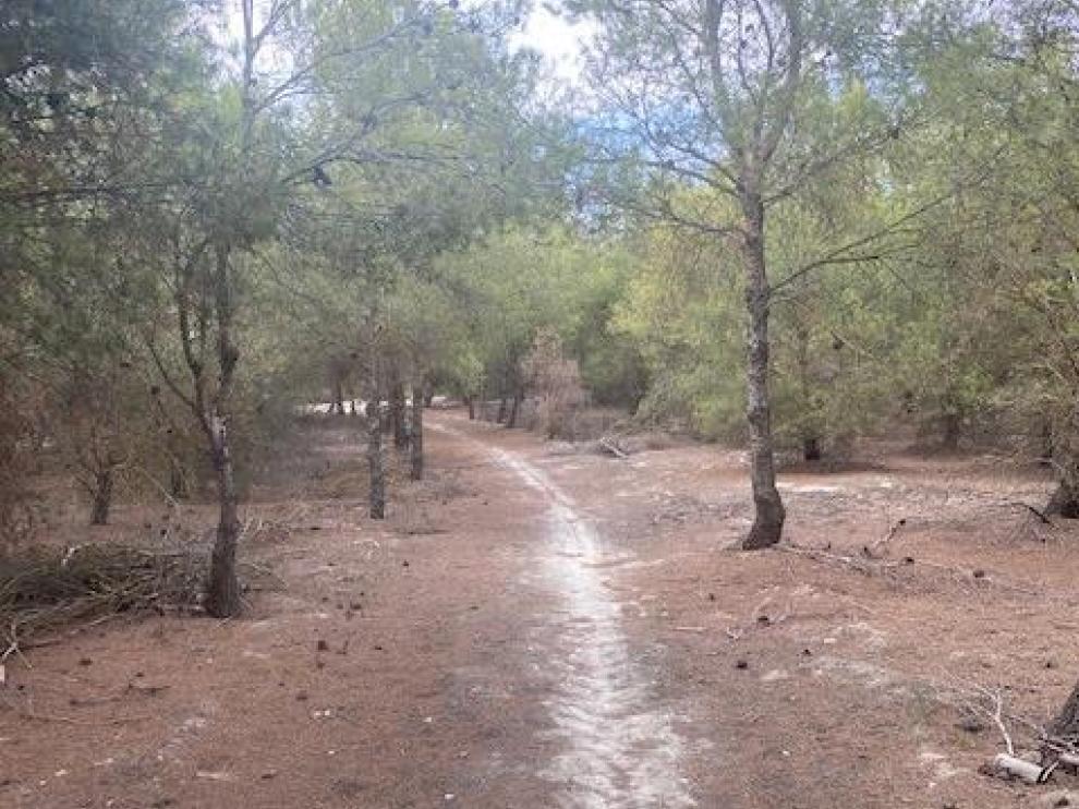 Parte de la ruta propuesta por La Puebla de Alfindén.