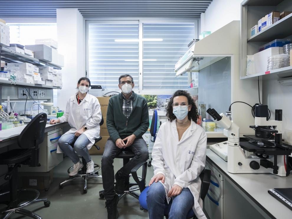 Paula Guerrero, J. Manuel García Aznar y Soraya Hernández, en su laboratorio del I3A.