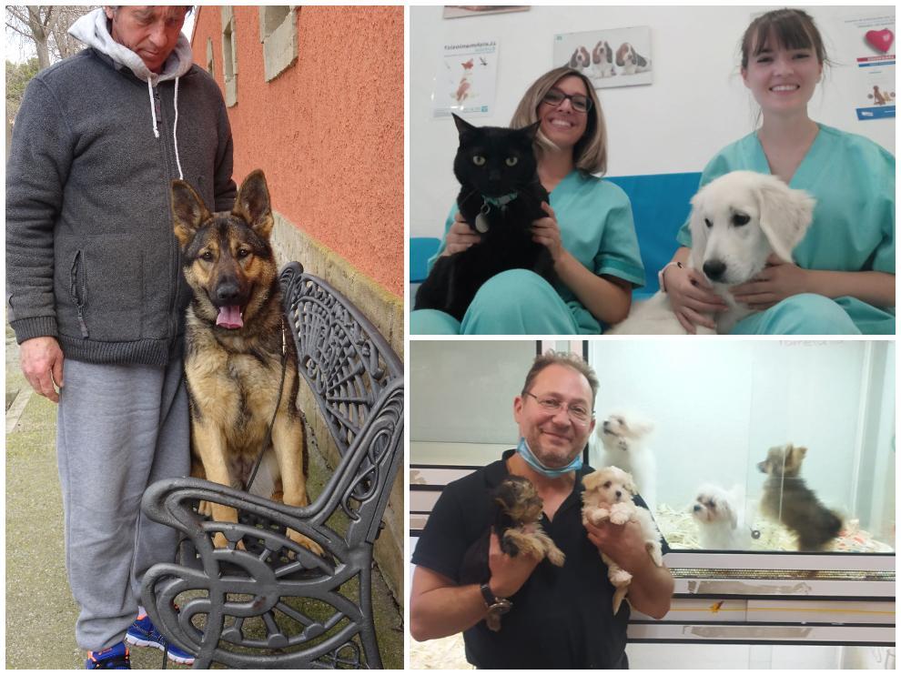 Clínicas veterinarias, tiendas y entrenadores de mascotas, ante la futura ley de protección animal.