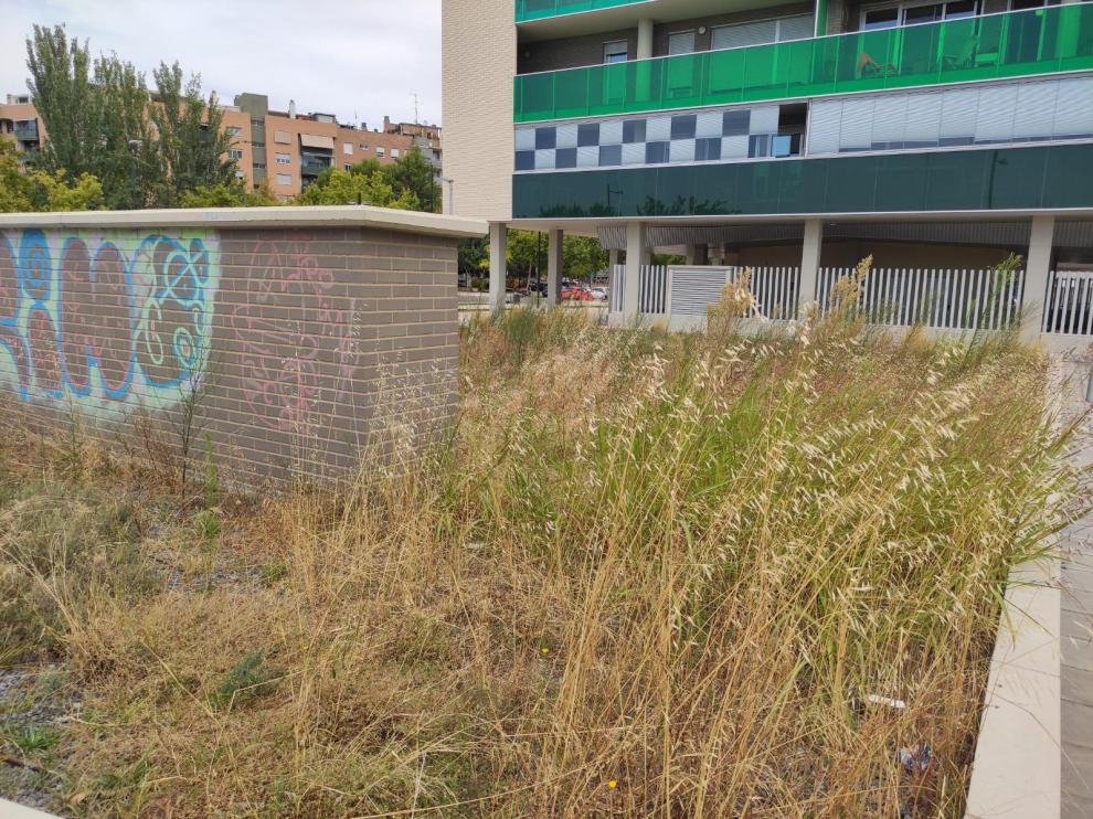 Parterres de la zona nueva del Barrio Jesús