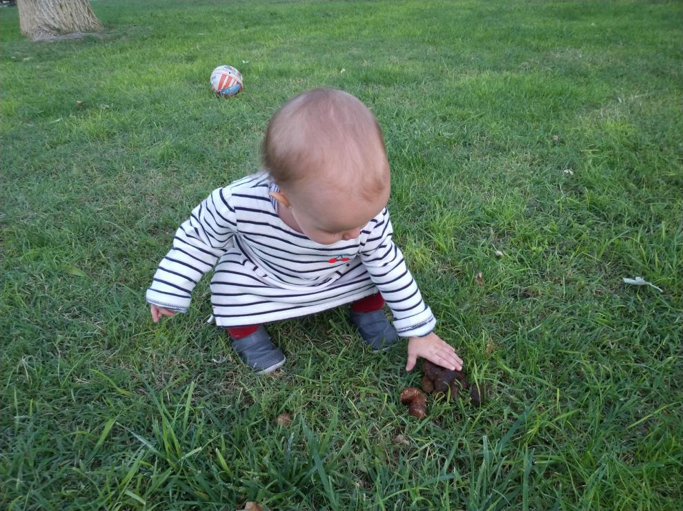 Una niña, a punto de coger un excremento de perro en el parque Miraflores de Zaragoza.