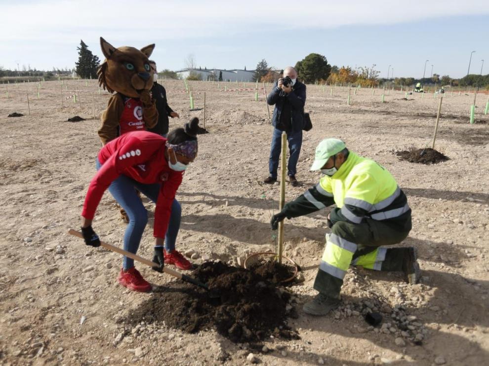 La jugadora Sierra Calhoun planta un arbol