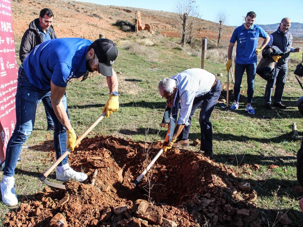 El proyecto de reforestación impulsado por la Fundación Alcoraz e ICT se ha estrena con la plantación de 500 árboles en Calamocha, con la colaboración del CV Teruel