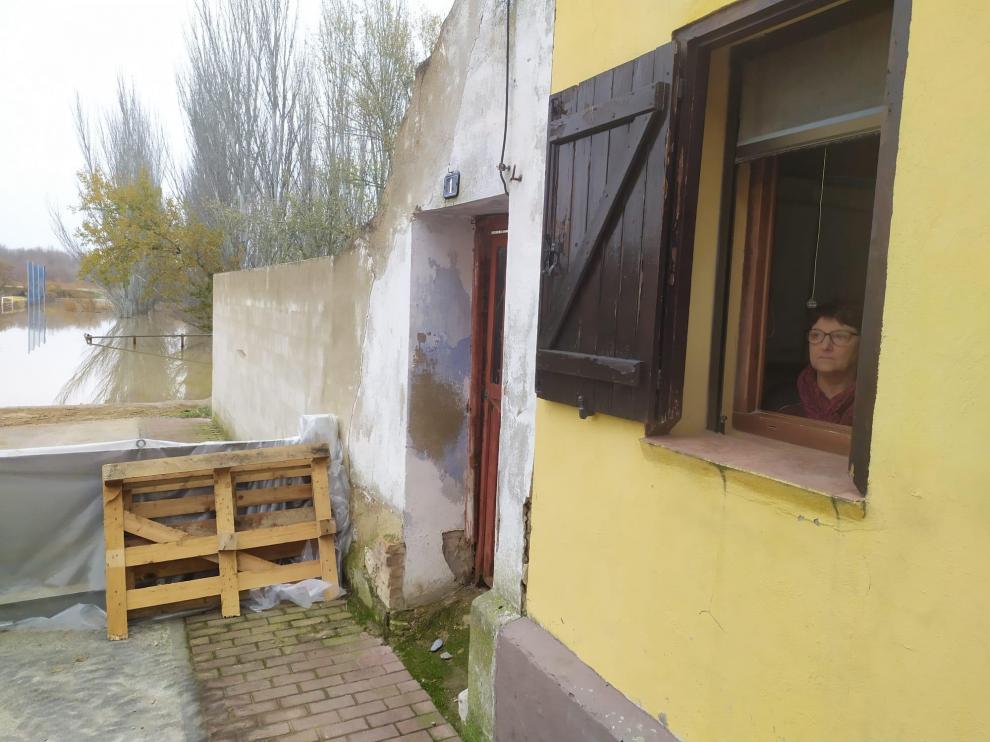 Angelines Lerín, en la ventana de su cocina en Novillas, a escasos metros de donde se ha quedado el río.