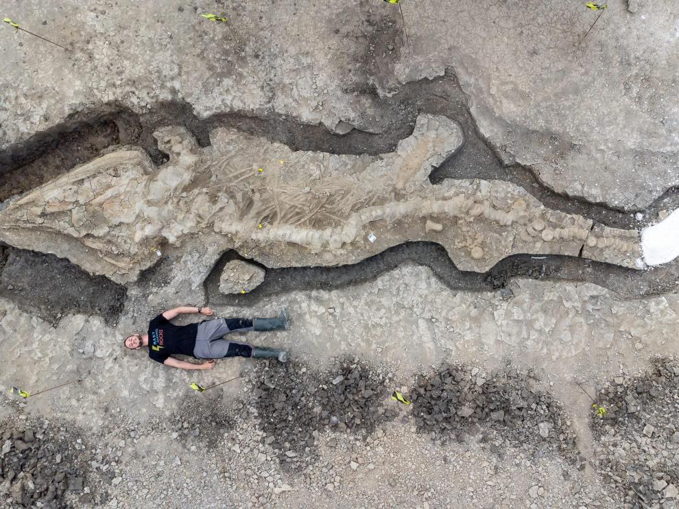 Un hombre posa tumbado junto al fósil del dragón marino encontrado en el lago Rutland, en el Reino Unido.