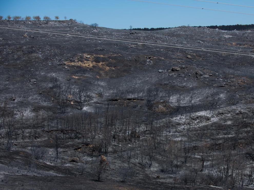 Tierra quemada en el incendio de Añón del Moncayo.