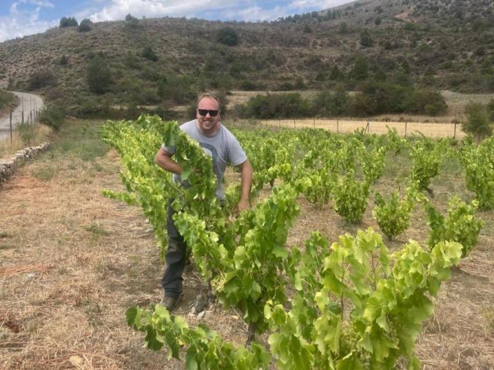 El viticultor Manel Roldán, en una de sus viñas de altura de la sierra de Javalambre.