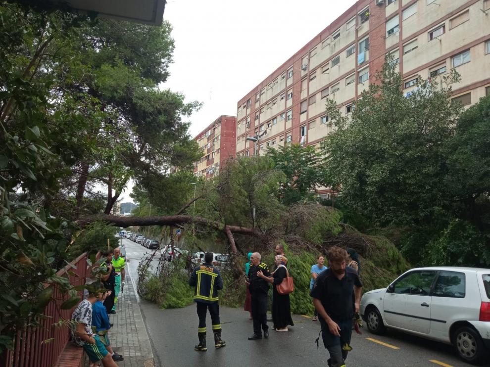Lugar donde ocurrió el accidente