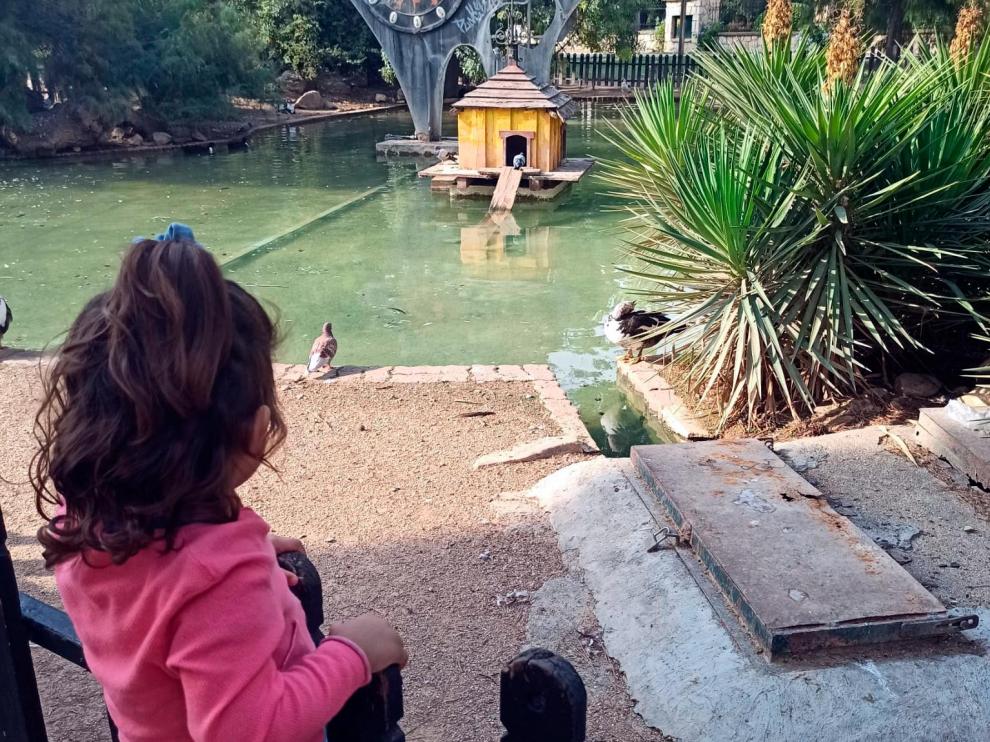 Los patos del estanque del Jardín Botánico es uno de los principales reclamos del Parque Grande para los niños.