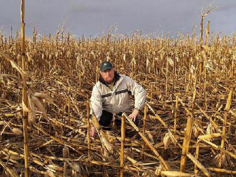 Miguel Ángel Carilla, agricultor monegrino, muestra los daños provocados por el vendaval.