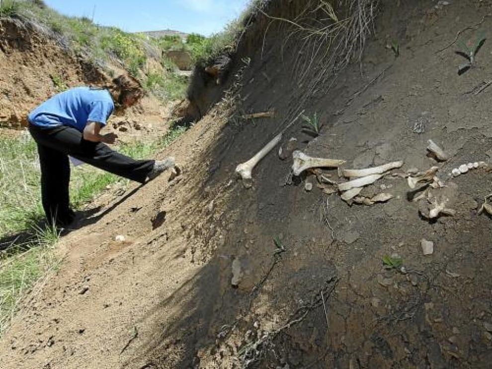 Algunos de los huesos han quedado completamente al descubierto.