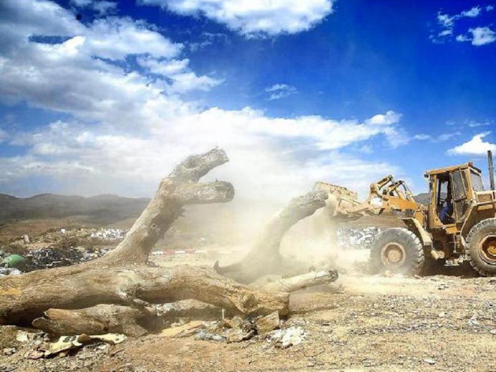 Una excavadora remueve materiales de obra en la escombrera de Calatayud.