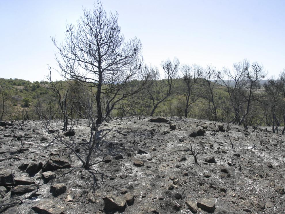 Imagenes de la zona del incendio