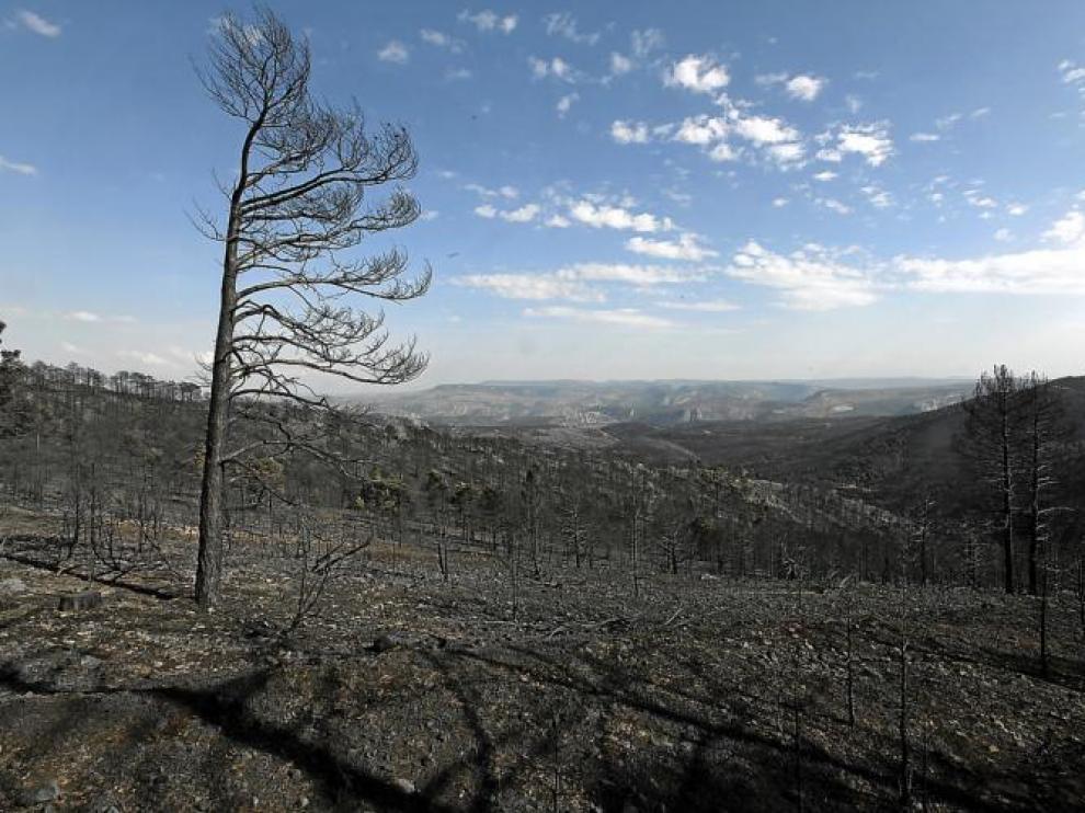 Vista de la zona quemada por el incendio de Aliaga desde el pico de Majamolinos.