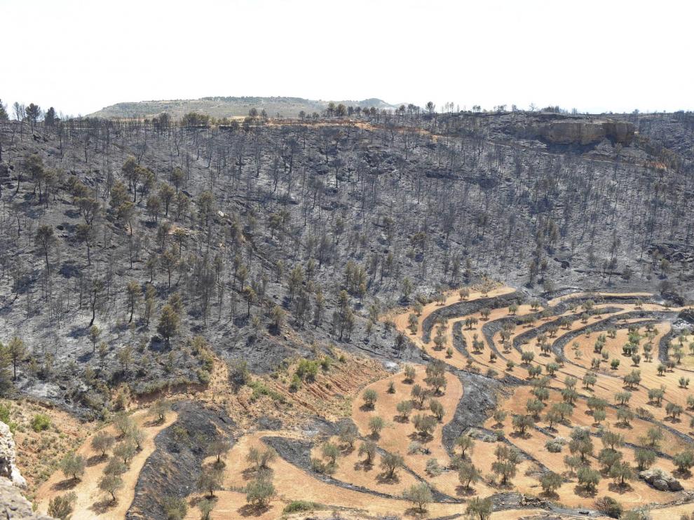 Parte del terreno arrasado por las llamas en Alloza