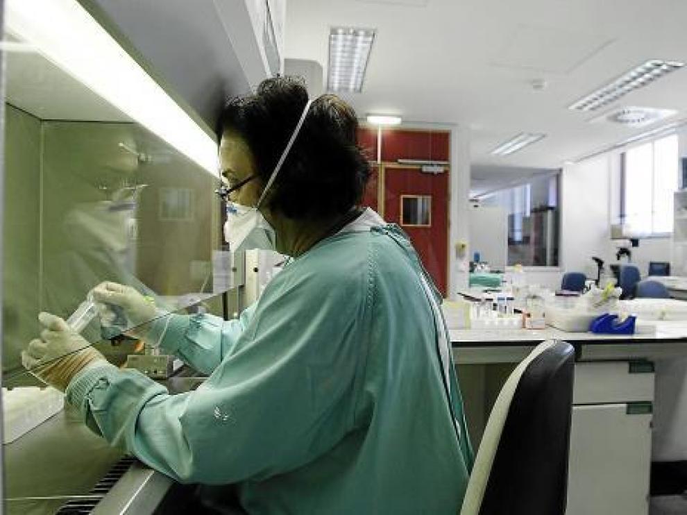 El laboratorio del Hospital Miguel Servet de Zaragoza realiza los análisis de gripe A.