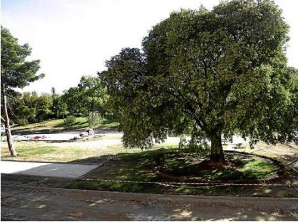 El parque Bruil