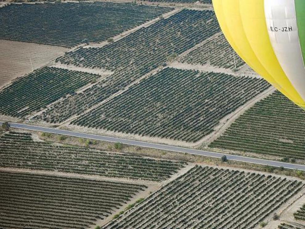Un globo aerostático sobrevuela los viñedos del Somontano.