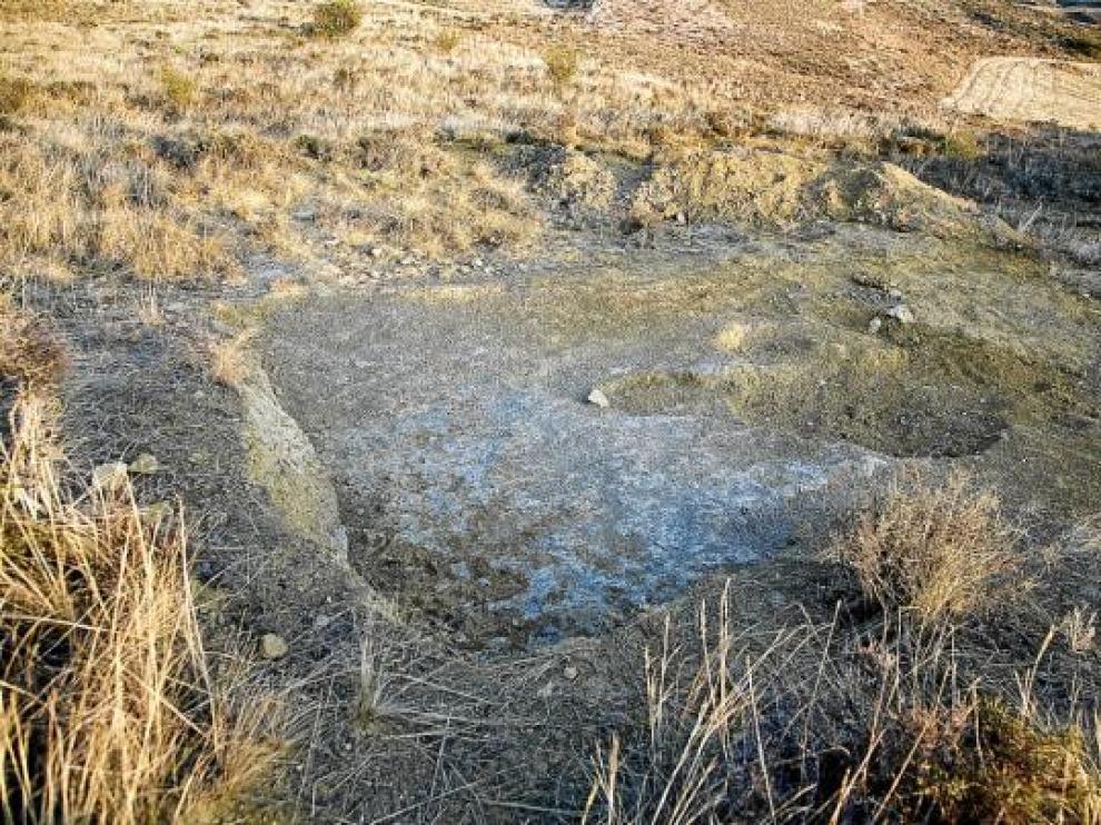 Hallan restos de un dinosaurio de hace 120 millones de años en Berdejo