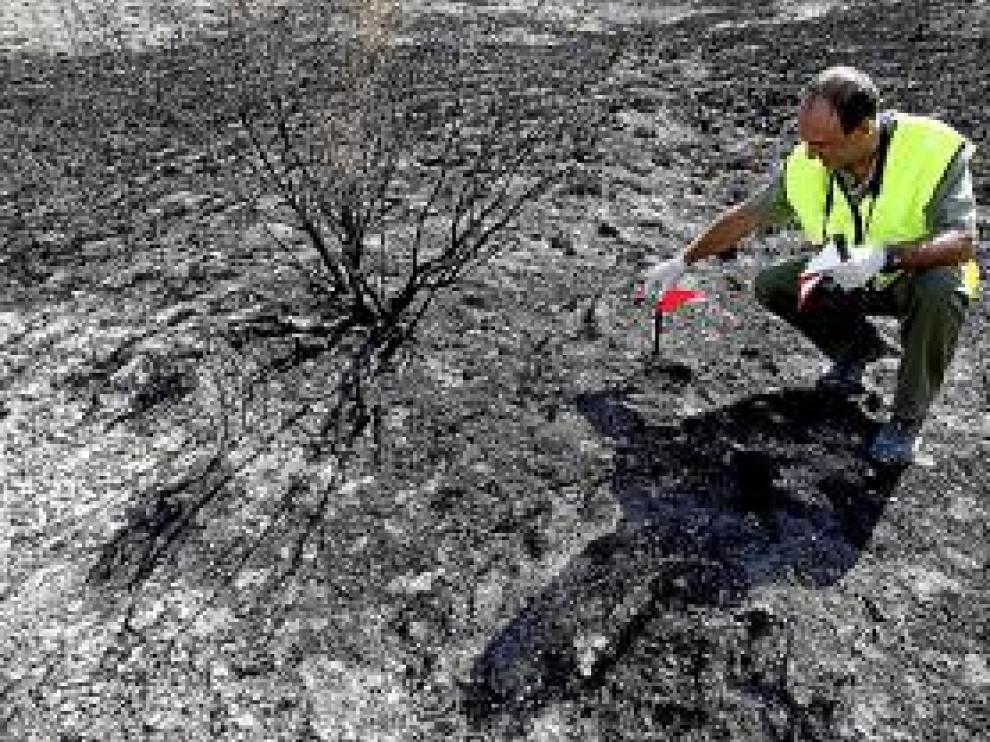 El CSI de los incendios forestales