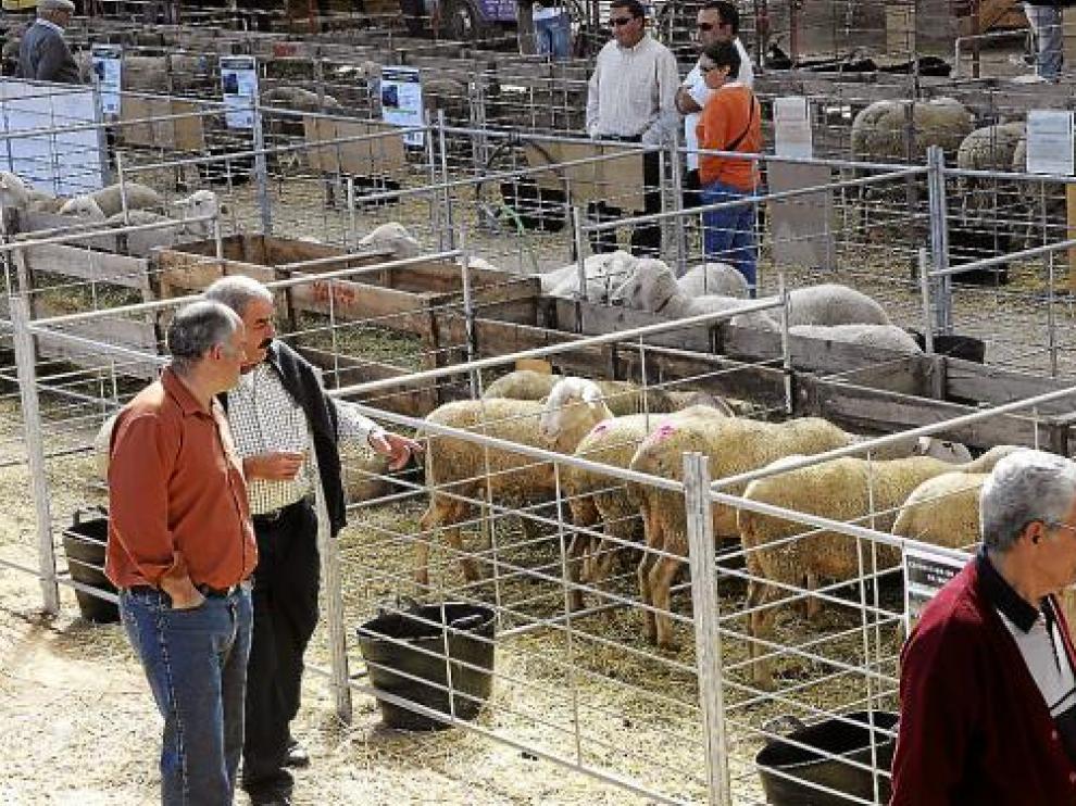 La Feria de Cedrillas resiste ante la crisis y atrae a un millar de ganaderos de medio país