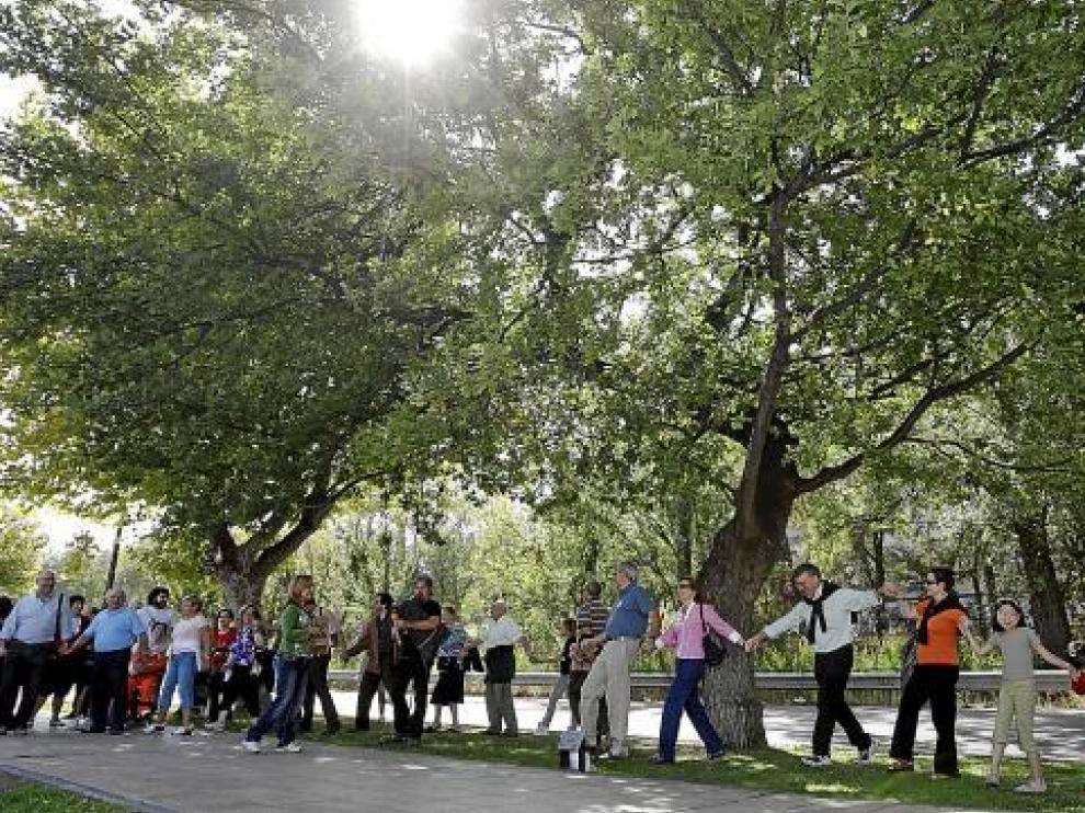 Los vecinos bailan alrededor del majestuoso ejemplar de 'quercus robur'.