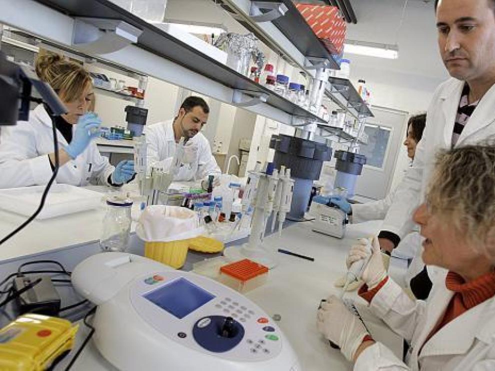 Un grupo de investigadores en la unidad de producción animal del CITA.