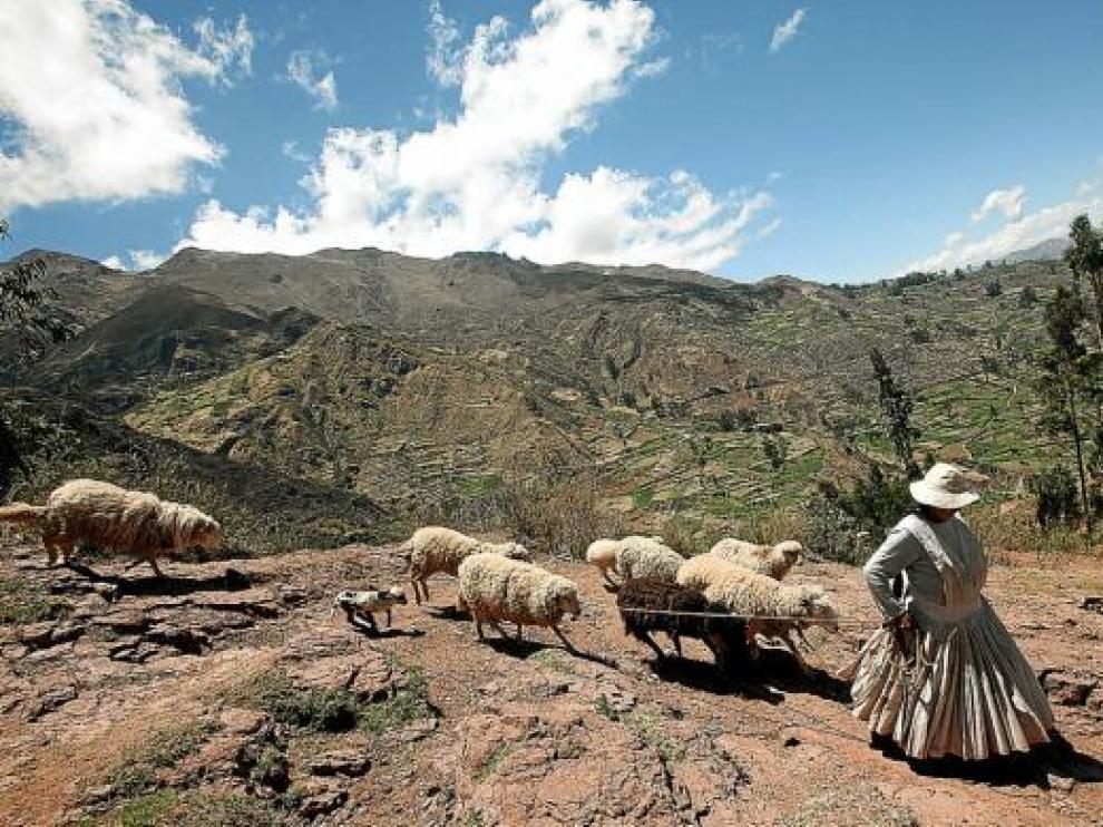 Una mujer pastorea a sus ovejas cerca de la localidad nevada de Kharpi.