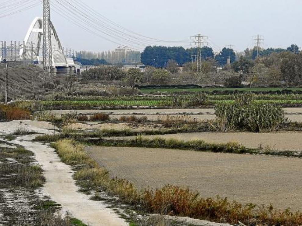 La huerta de Las Fuentes, ayer, con el puente de Giménez Abad al fondo