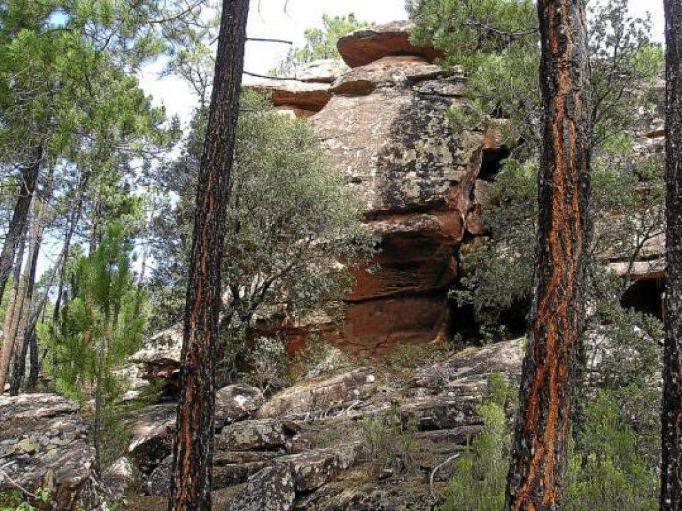 Las pinturas se localizan en el barranco de la Casa del Forestal de Tormón