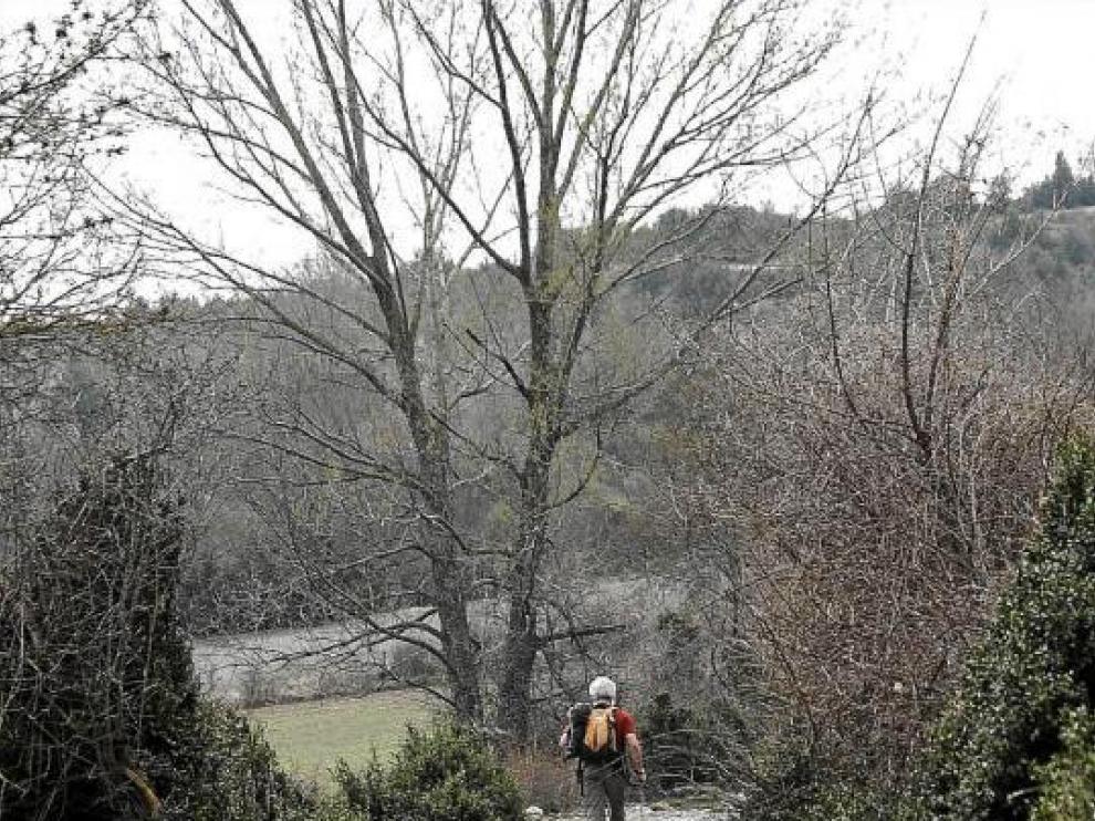 Estampa invernal de un peregrino por el tramo aragonés del Camino de Santiago