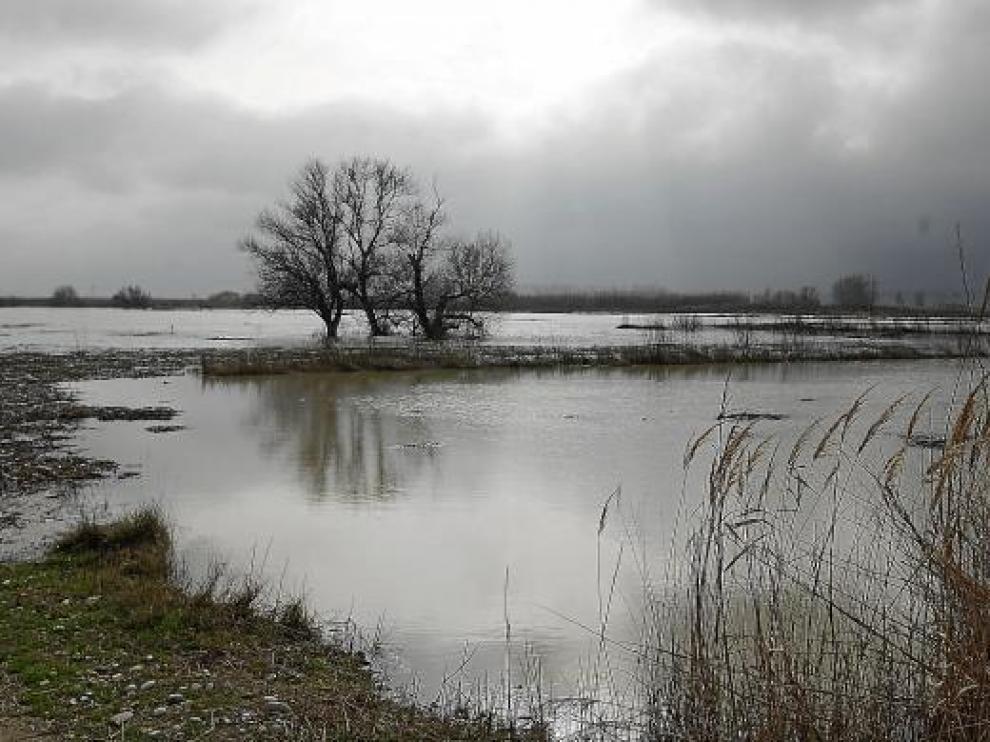 El Ministerio exige estudios de impacto ambiental para poder limpiar el Ebro