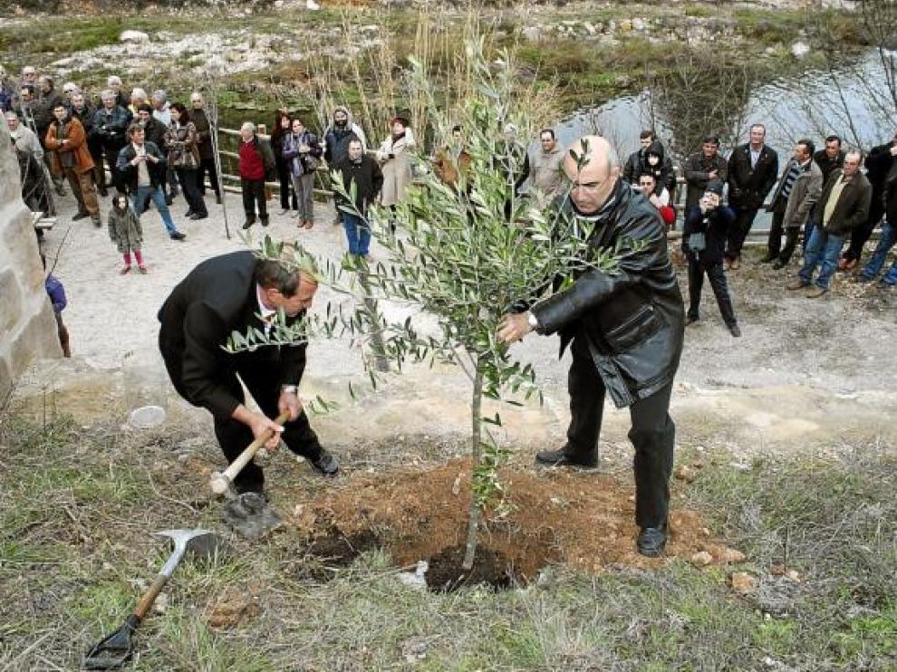 Los vecinos plantaron un olivo, enterrando junto a sus raíces escritos con deseos de futuro