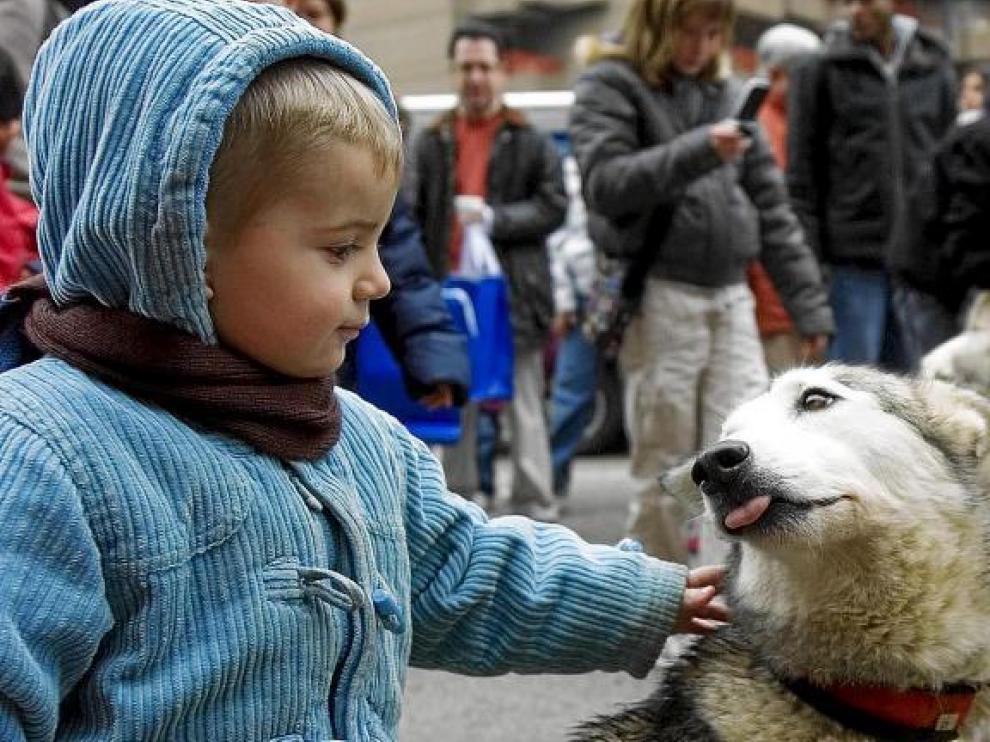 Los perros hicieron las delicias de los más pequeños... y viceversa